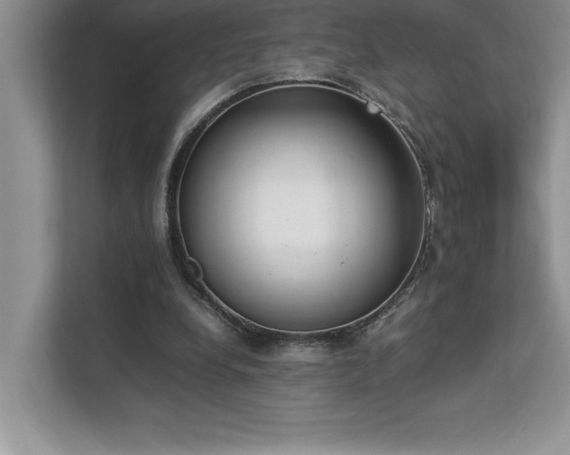 X0000112850248200908211306