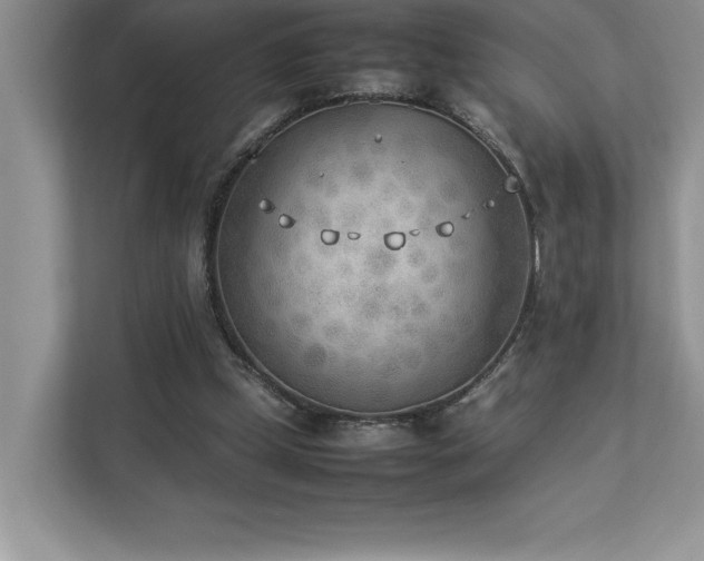 X0000112850249200908211306