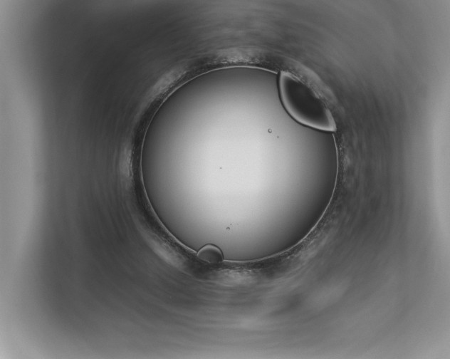 X0000112850250200908211306