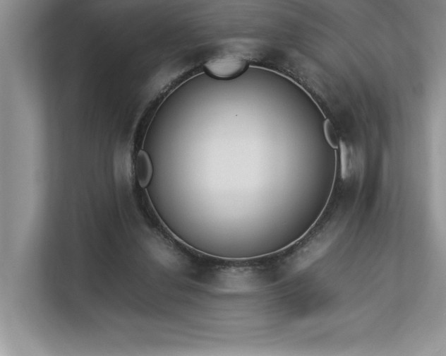 X0000112850252200908211306