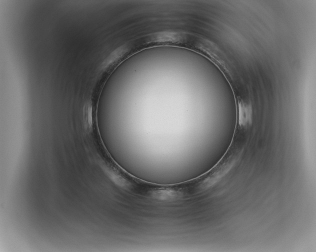 X0000112850253200908211306