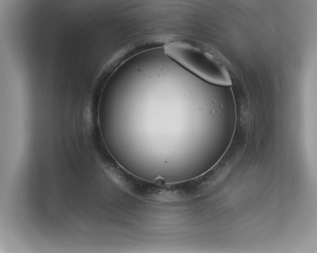 X0000112850256200908211306