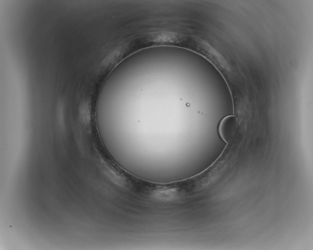 X0000112850257200908211306
