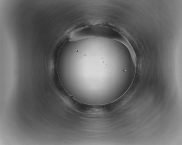 X0000112850260200908211306