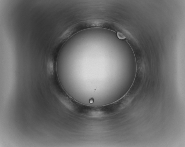 X0000112850262200908211306