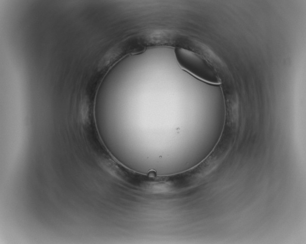 X0000112850266200908211306