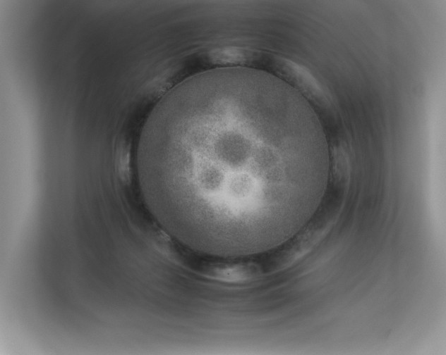 X0000112850267200908211306