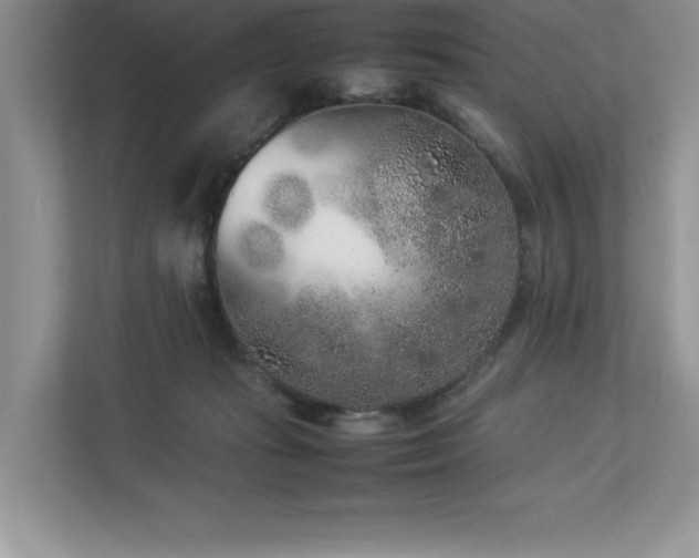 X0000112850269200908211306