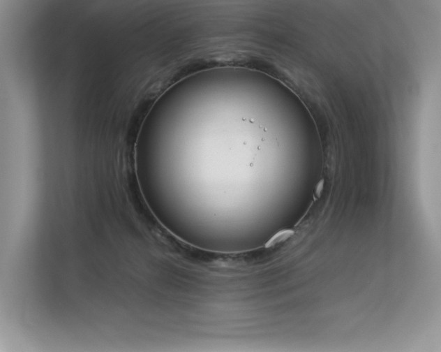 X0000112850272200908211306