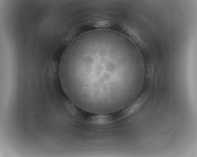 X0000112850273200908211306