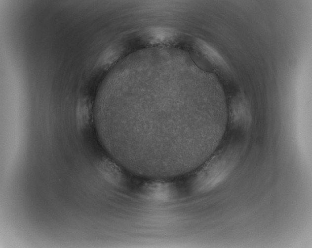 X0000112850276200908211307