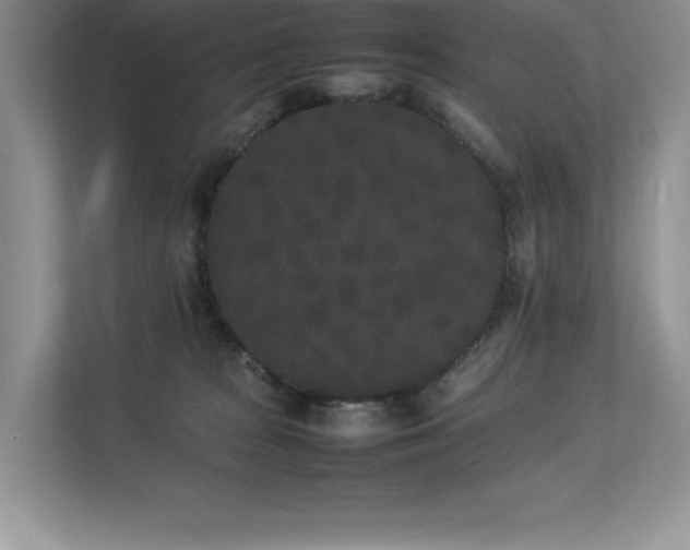 X0000112850277200908211307