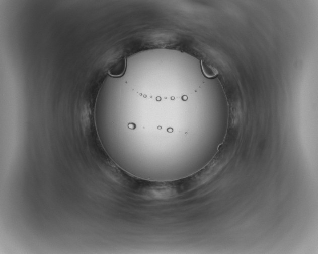 X0000112850279200908211307