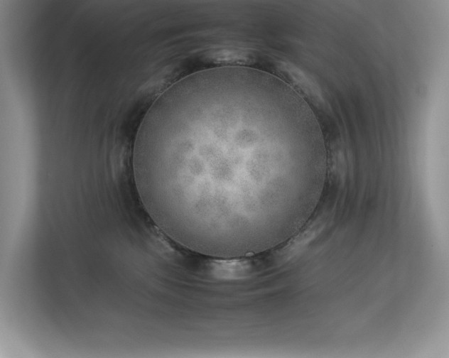 X0000112850281200908211307