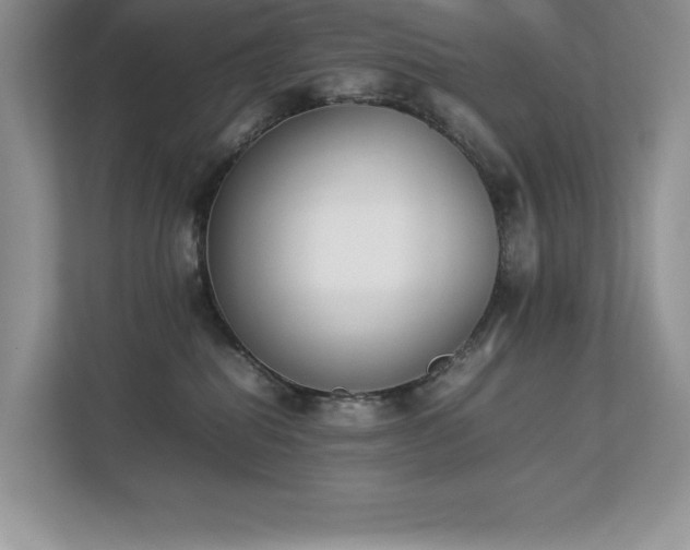 X0000112850282200908211307