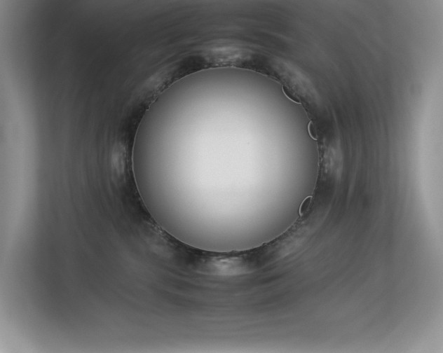 X0000112850283200908211307