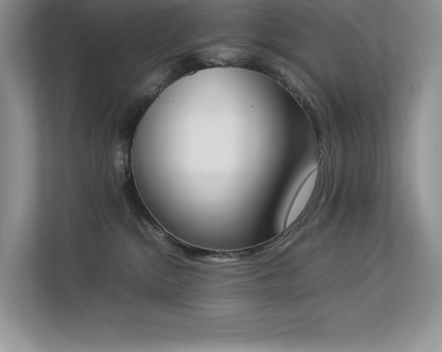 X0000112850284200908211307