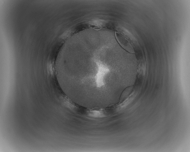 X0000112850285200908211307