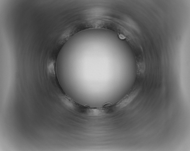 X0000112850286200908211307