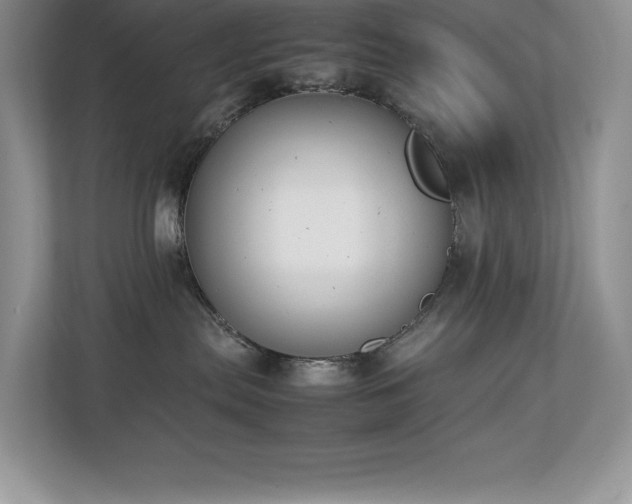 X0000112850287200908211307