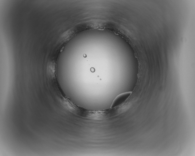 X0000112850288200908211307