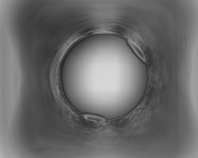 X0000112850289200908211306