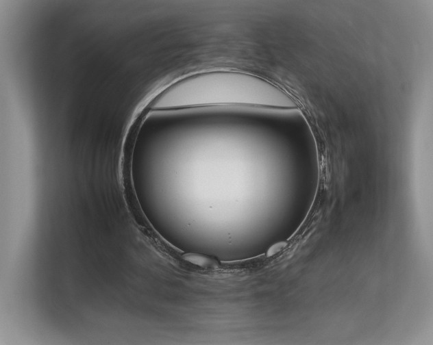 X0000112850292200908211306