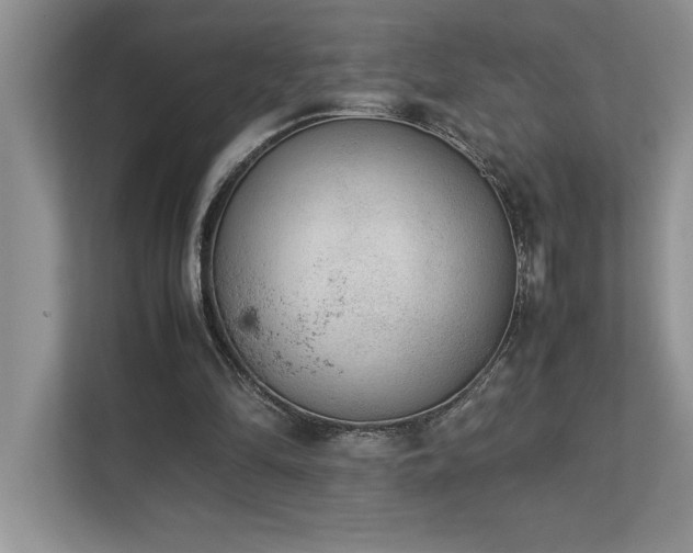 X0000112850294200908211306