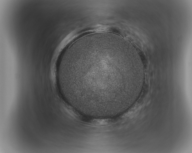 X0000112850295200908211306