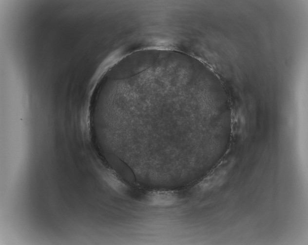 X0000112850296200908211306