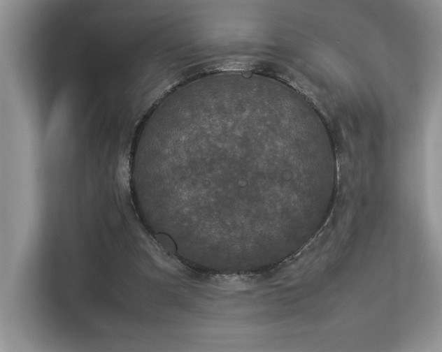 X0000112850297200908211306