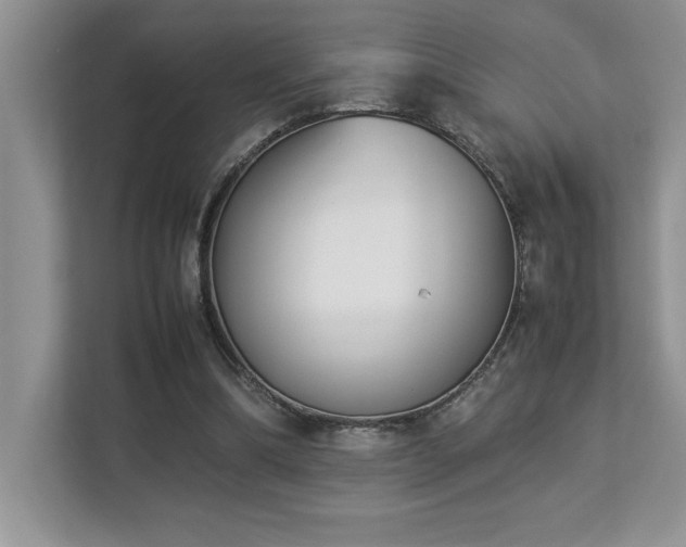 X0000112850298200908211306