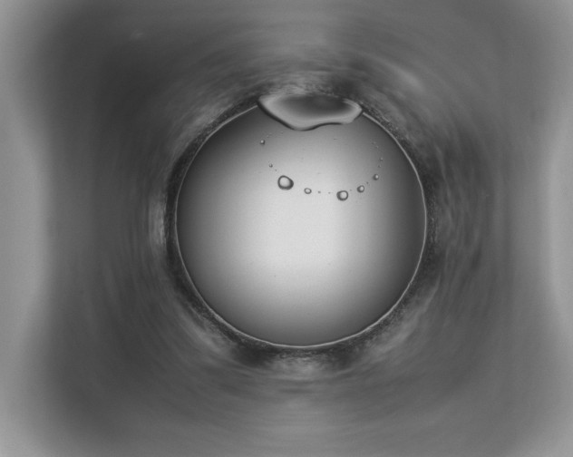 X0000112850299200908211306