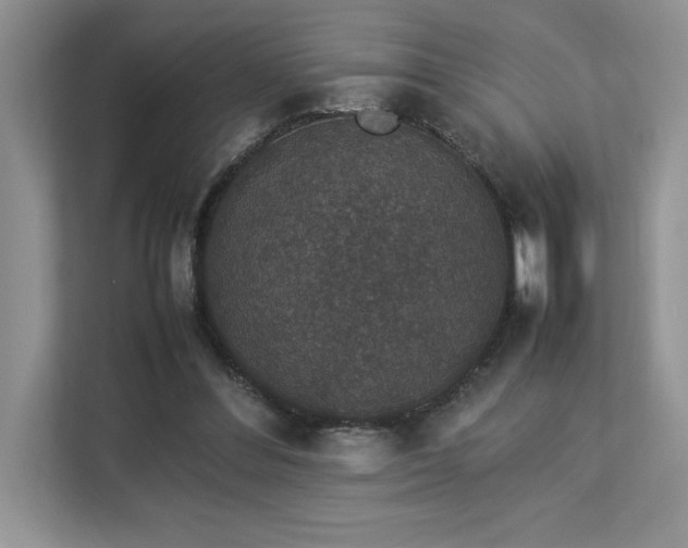 X0000112850300200908211306
