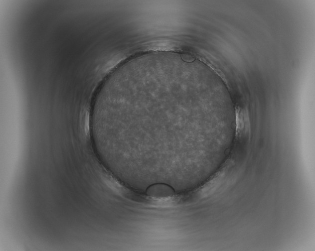 X0000112850301200908211306