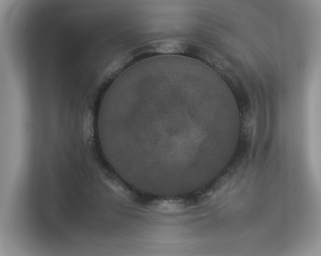 X0000112850303200908211306