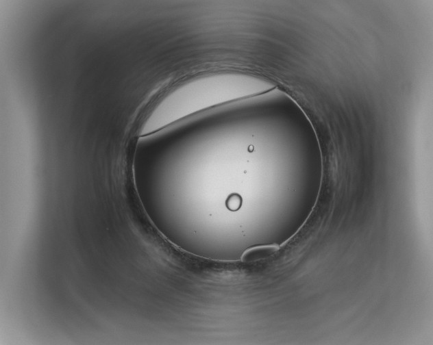 X0000112850304200908211306