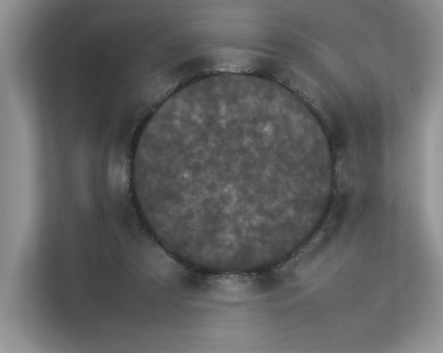 X0000112850305200908211306