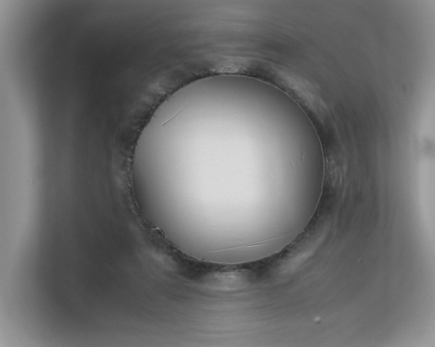 X0000112850307200908211306