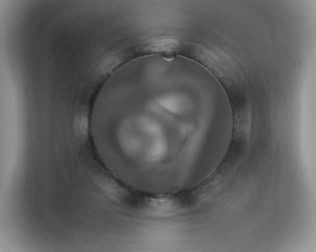 X0000112850309200908211306