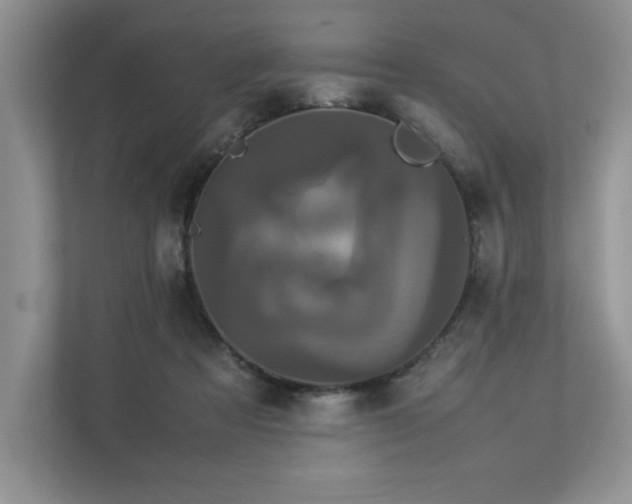 X0000112850313200908211306