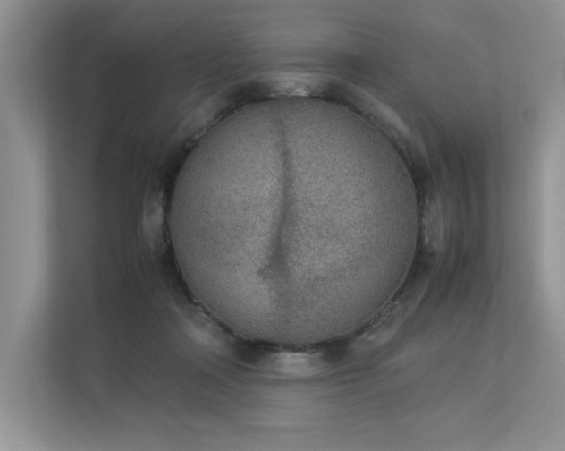 X0000112850314200908211306