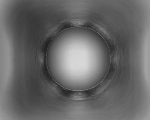 X0000112850315200908211306