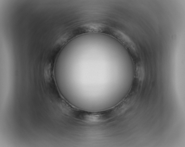 X0000112850318200908211306