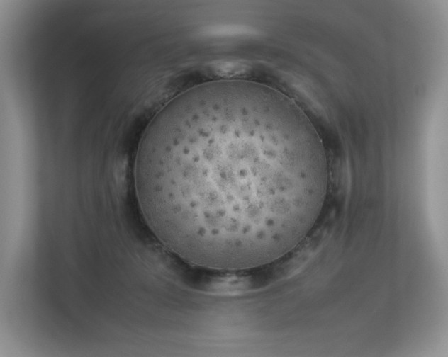 X0000112850319200908211306
