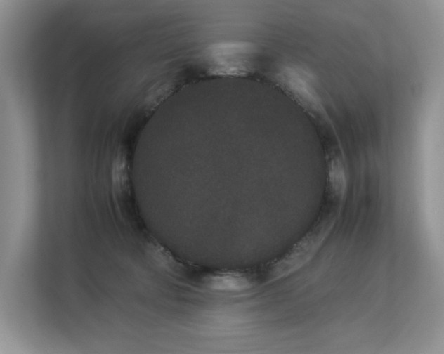 X0000112850322200908211306