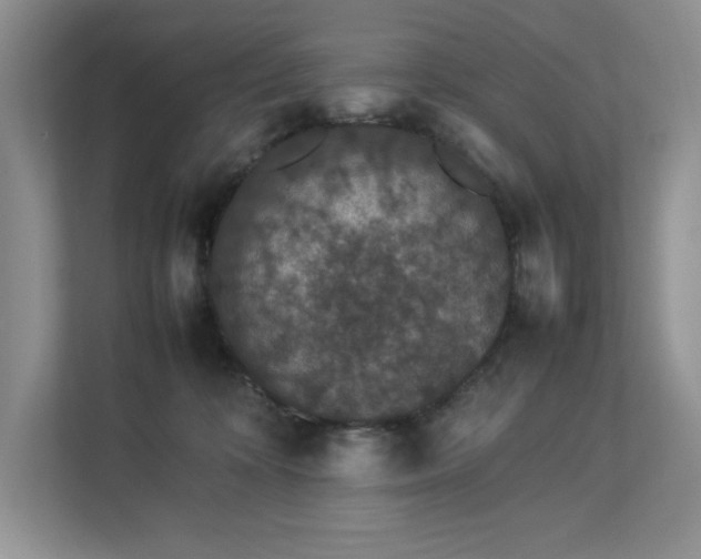 X0000112850324200908211306