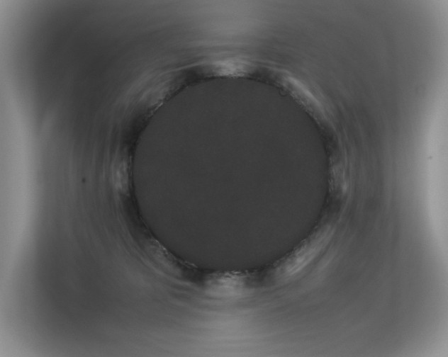 X0000112850325200908211306
