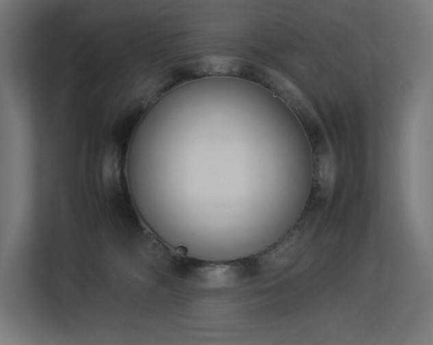 X0000112850326200908211306