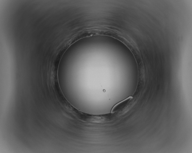 X0000112850328200908211306